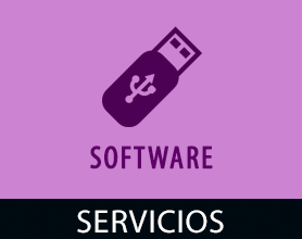 Servicios software